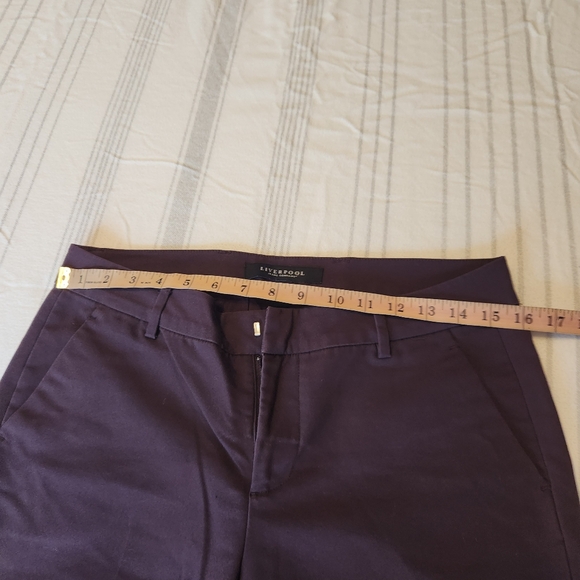 Liverpool Eggplant Ankle Pants - Picture 2 of 4